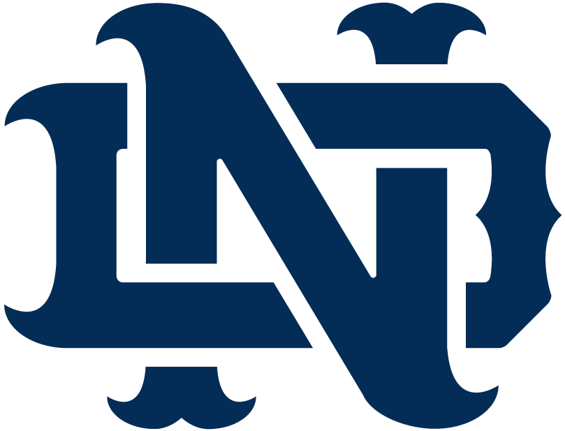 Notre Dame Fighting Irish 1994-Pres Alternate Logo v11 iron on transfers for fabric